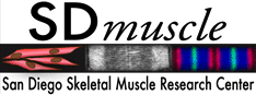 San Diego Skeletal Muscle Research Center